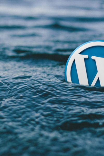 Entwicklung und Programmierung von Websites durch Know-How der Plug-In Möglichkeiten.