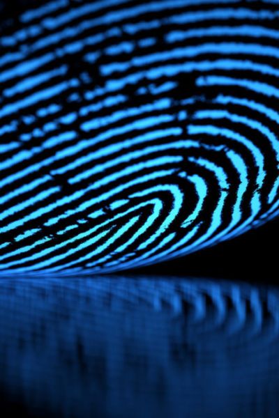 Typisch du! Corporate Design und der Wiedererkennungswert